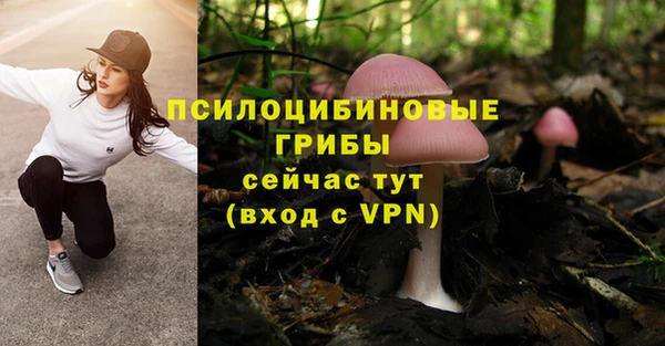 эйфоретик Арсеньев