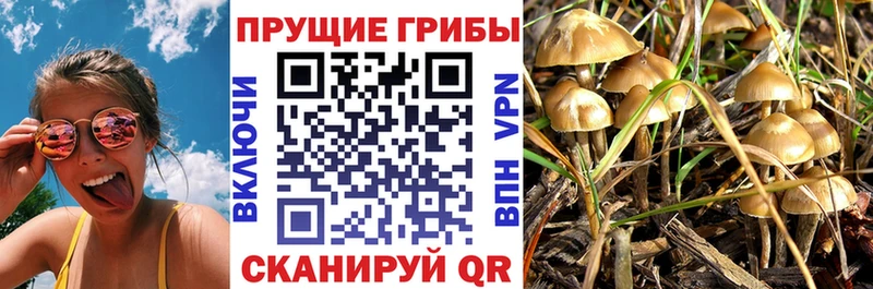 Псилоцибиновые грибы мицелий Горняк